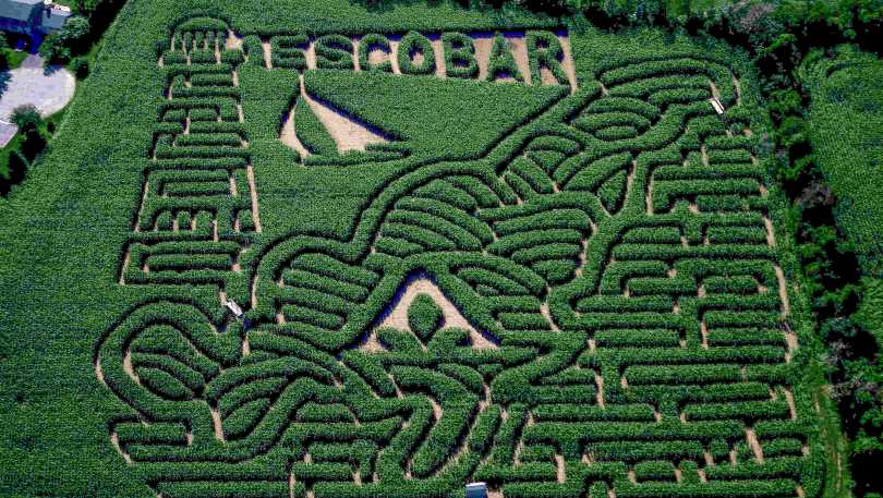 Escobar Corn Maze.jpg
