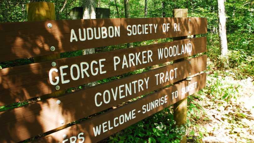 George_B_Parker_Woodland_Coventry_Tract.JPG.jpg