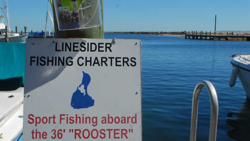 Linesider Fishing Charters