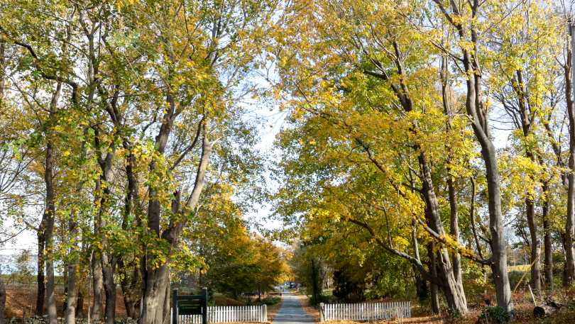 Portsmouth Real Estate