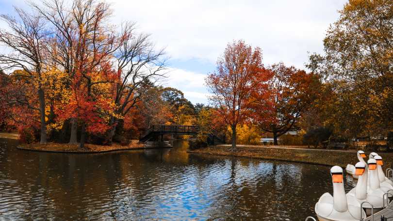 Roger Williams Park