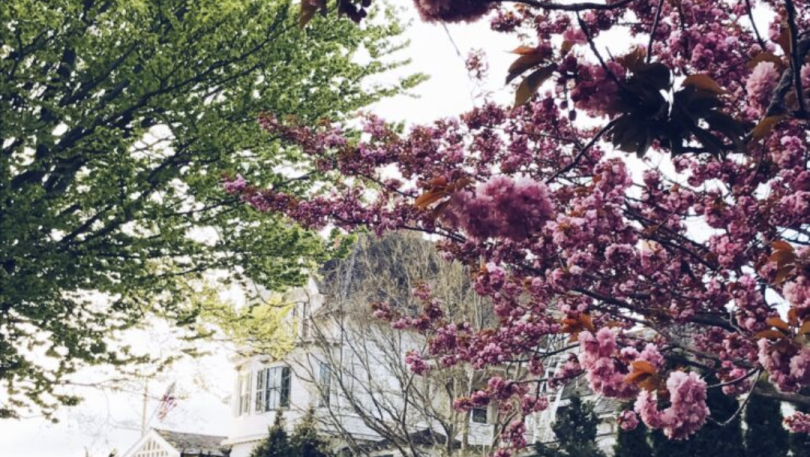 Simply Spring