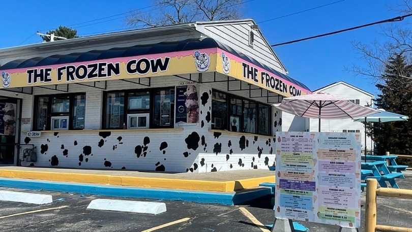 frozen cow