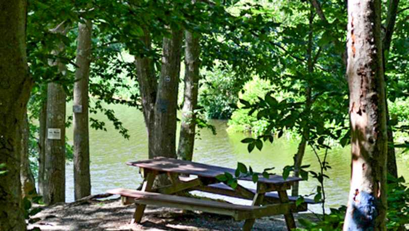 Melville Ponds Campground Portsmouth Ri 02871
