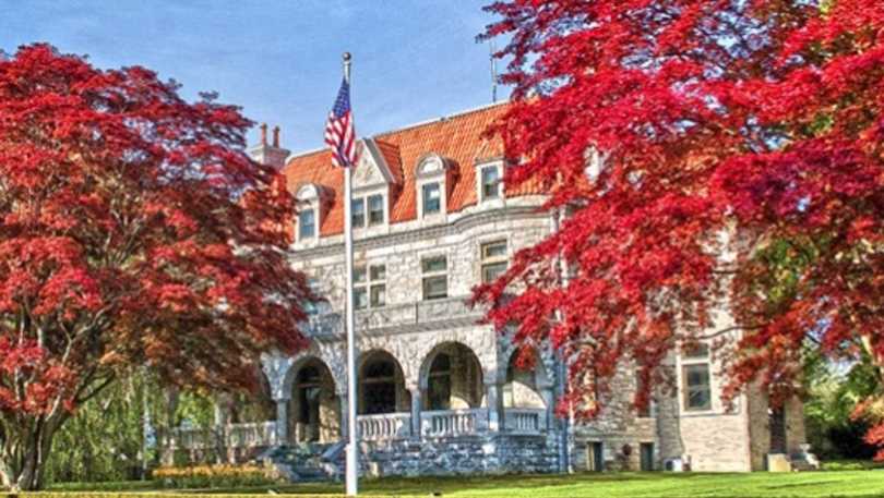 Newport Tree Walks
