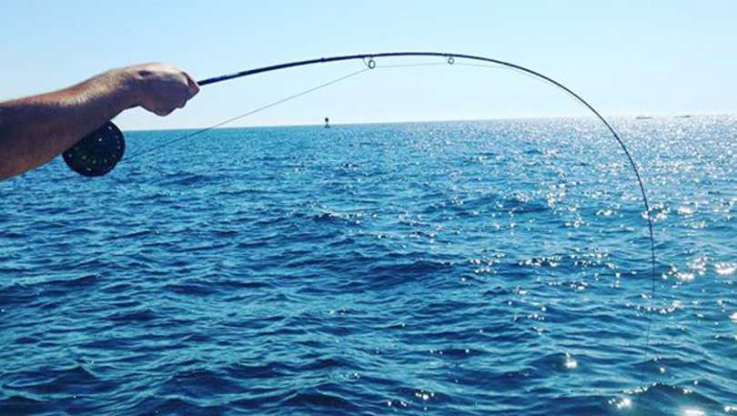 Patterson Guide Service Fly Fishing Charters Portsmouth Ri 02871