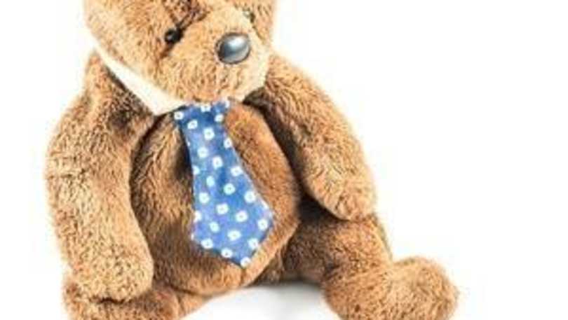 teddybearskins