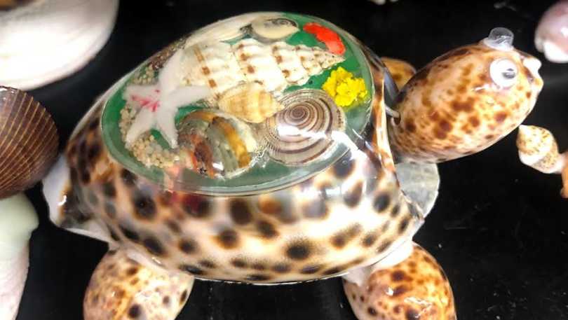 shell boutique