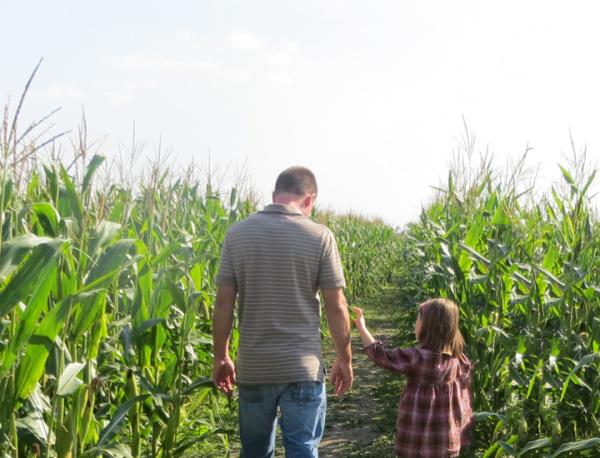 Kuehnert Dair Farm Corn Maze