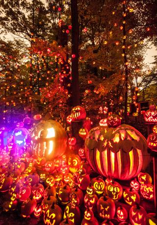 Jack O Lanterns lit up at night for the Louisville Jack O' Lantern Spectacular