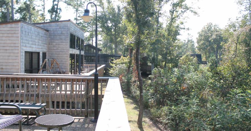 View from the patio of a cabin overlooking the forest.