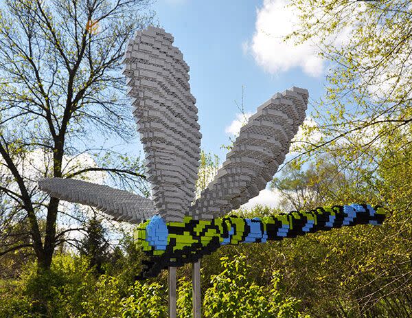 Sean Kenney's "Nature Connects" dragonfly art piece