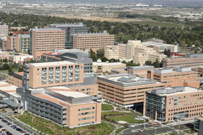 University Of Colorado Denver