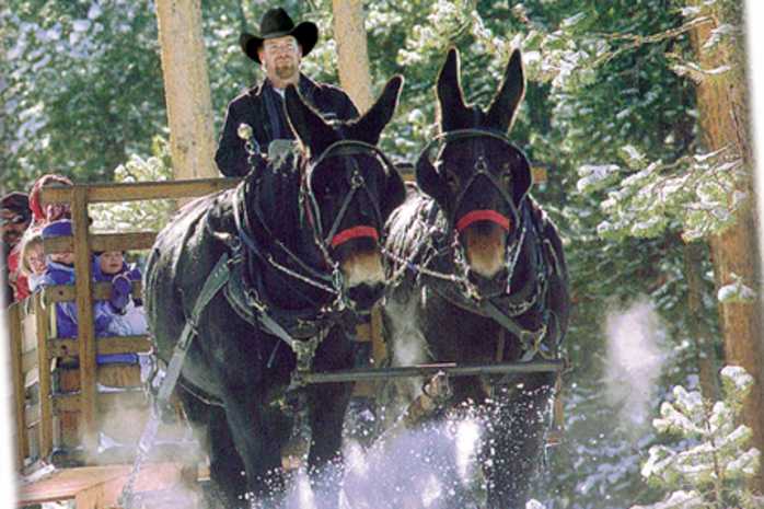 2 Below Zero Dinner Sleigh Rides And Chuckwagon