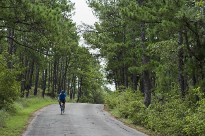 Man Biking Through Wooded Path 