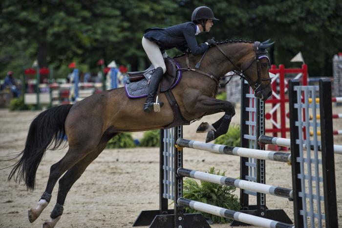 Horse - UHS