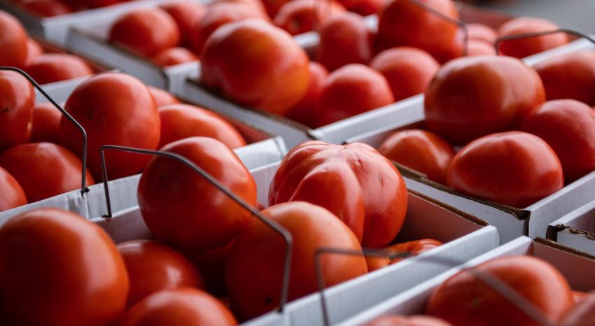 Josephs Wayside Market Produce