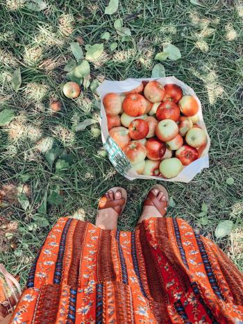 Cider Hill bag of apples