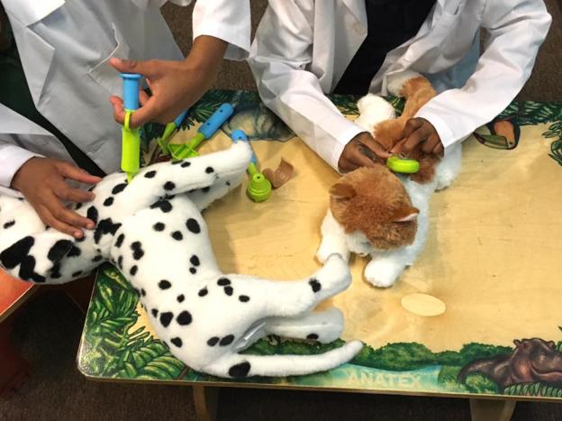 Animal Clinic | Lake Charles Children's Musuem
