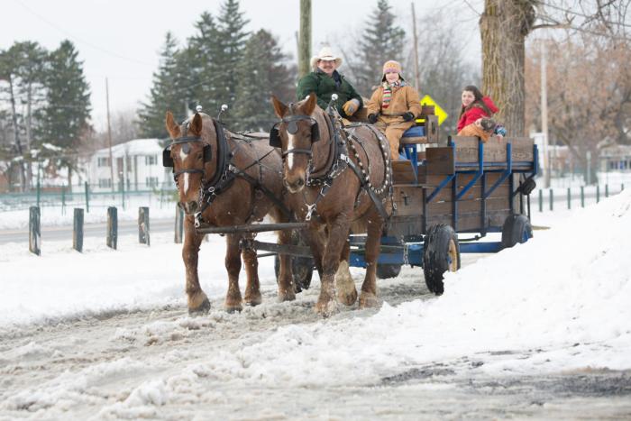 Holiday Tradition, Cayuga County