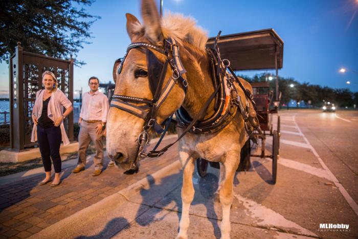 Carriage Rides in Lake Charles | Michael L. Hobby