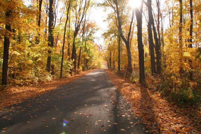 Hononegah Forest Preserve