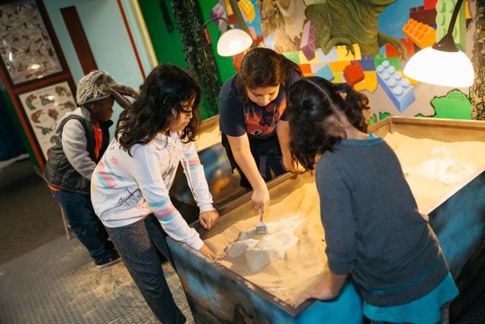 A group explores archaeology at the Beaumont Children's Museum.