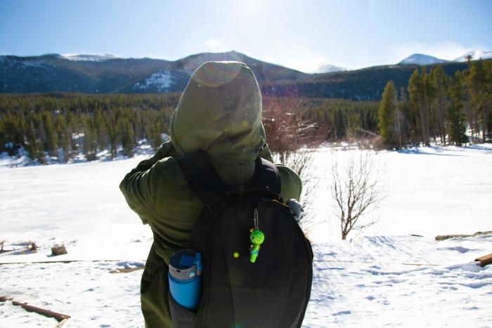 Person Overlooking Winter Views