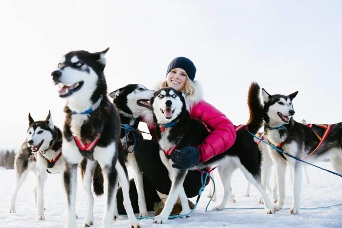 Arctic Dog Adventure Company Sled Dog Team
