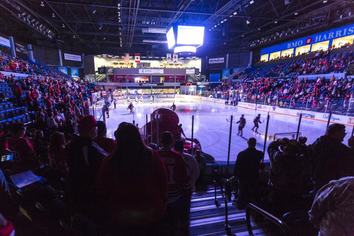 Rockford IceHogs crowd
