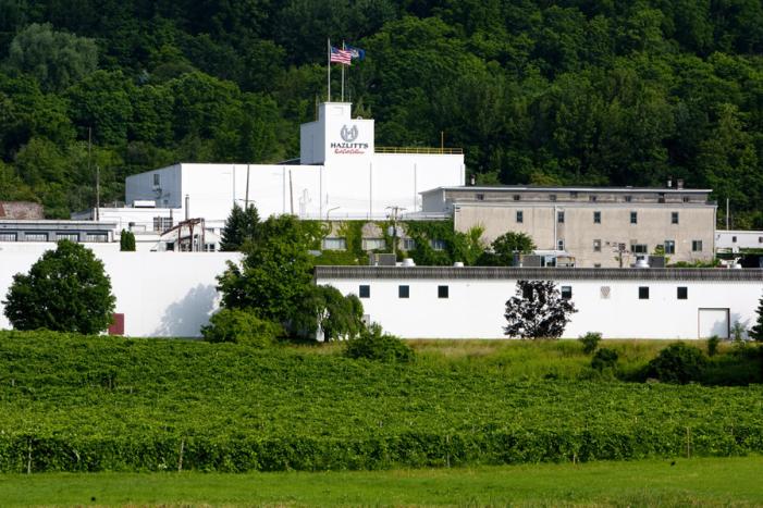 Hazlitt S Red Cat Cellars