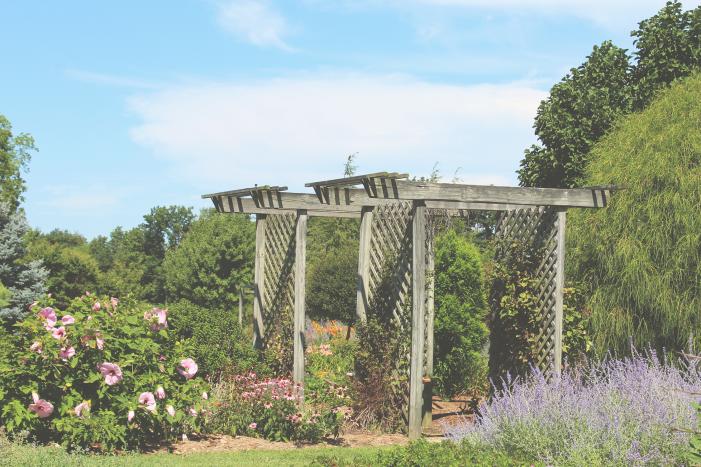 Effingham Garden