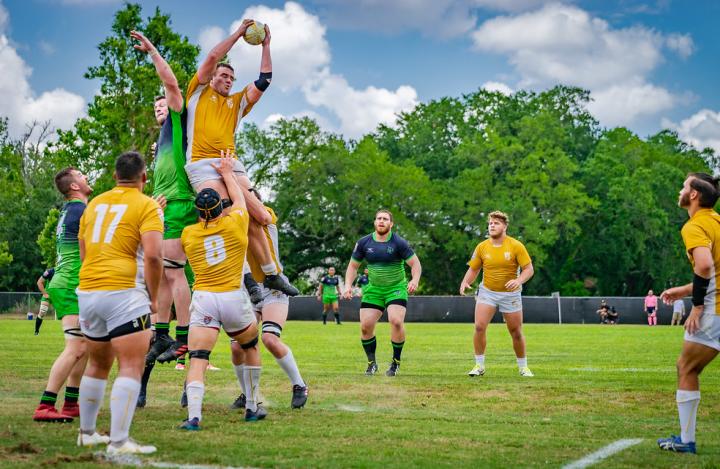 Nola Gold Rugby