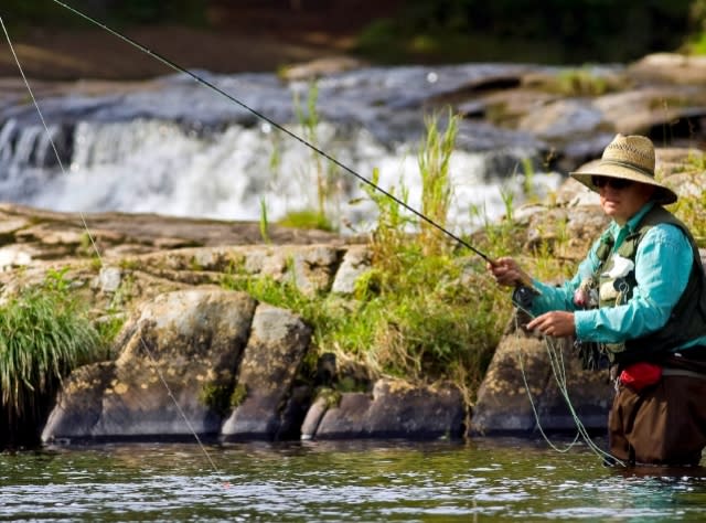 Fly Fishing, West Branch of Ausable River