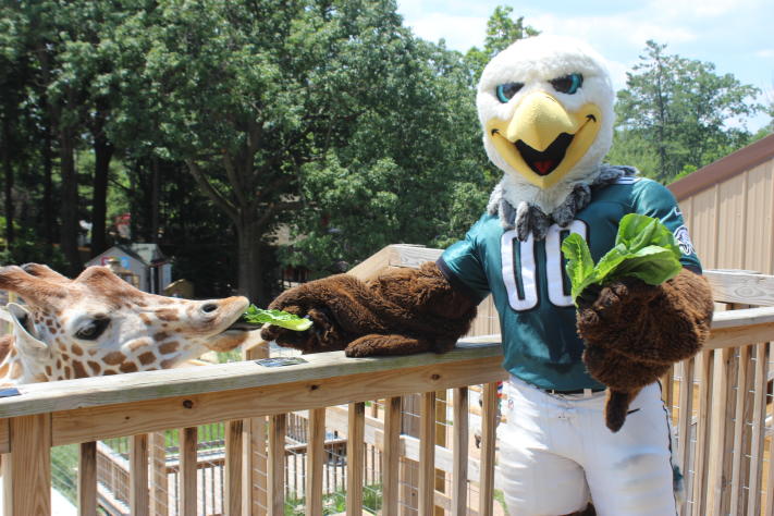 Swoop at Elmwood Park Zoo