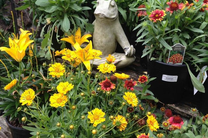Greenstreet Gardens Alexandria Va 22302