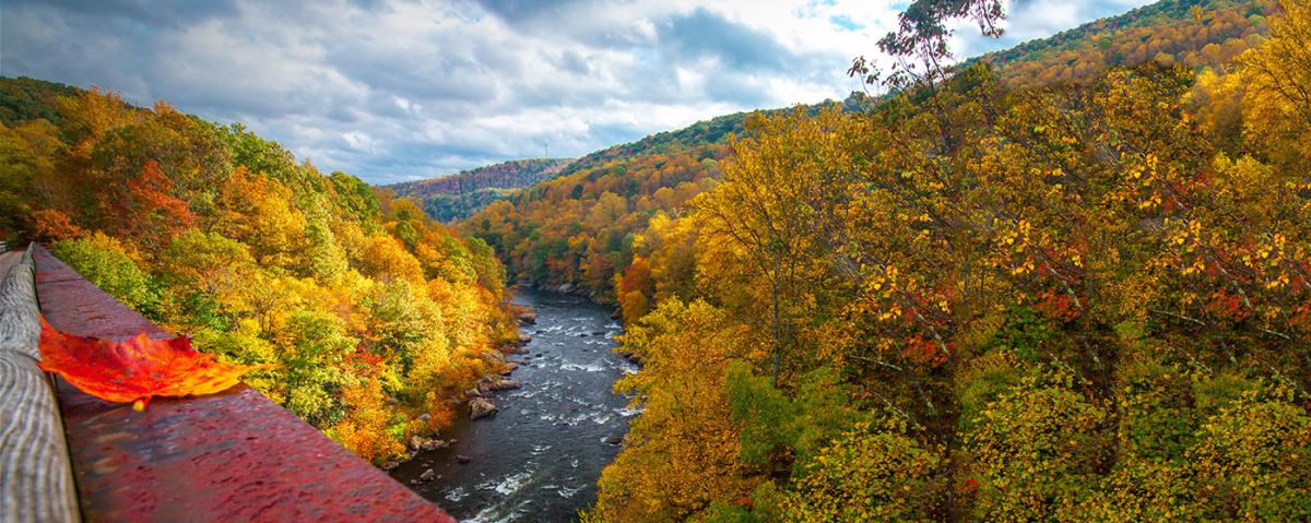 Fall in the Laurel Highlands