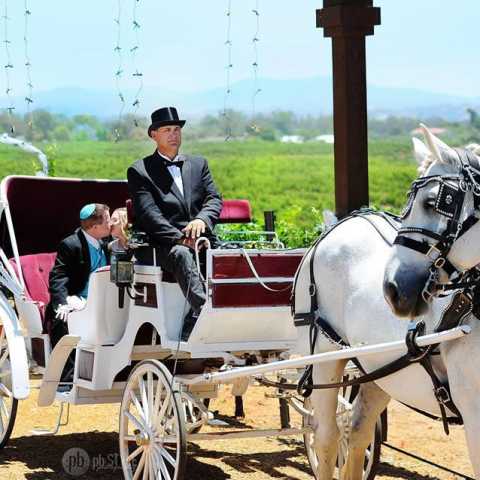 Carriage Ride - Temecula Carriage Co.