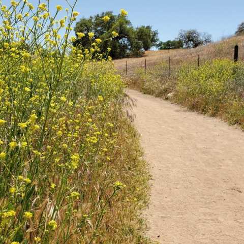 Santa Rosa Plateau Foundation