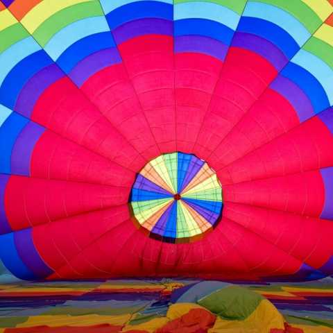 Grape Escape Balloon Adventure