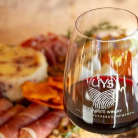 Uys Vineyard and Winery