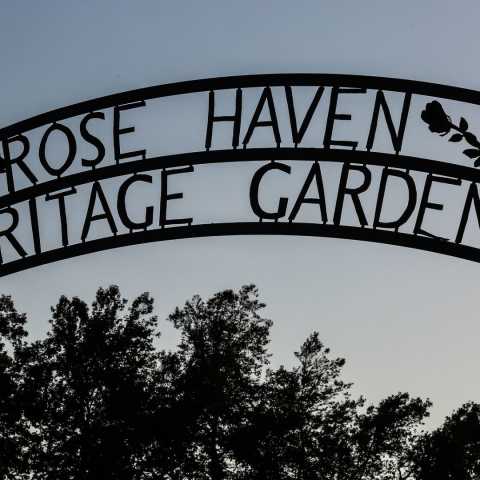 Rose Haven Heritage Garden