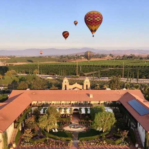 Grape Escape Balloon Adventure