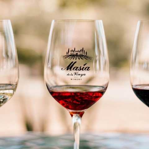 Masia De La Vinya Winery