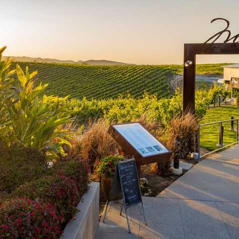 Callaway Vineyard & Winery