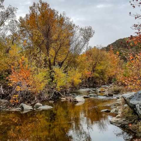 Santa Margarita Trail Preserve