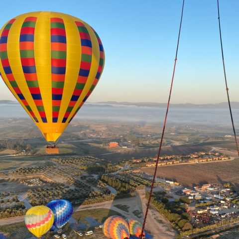 Grape Escape Balloon Adventure