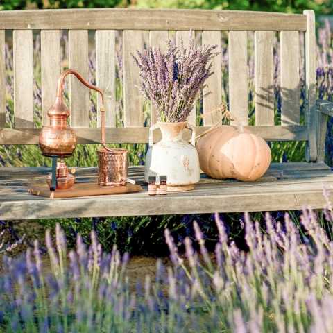 Temecula Lavender Co.
