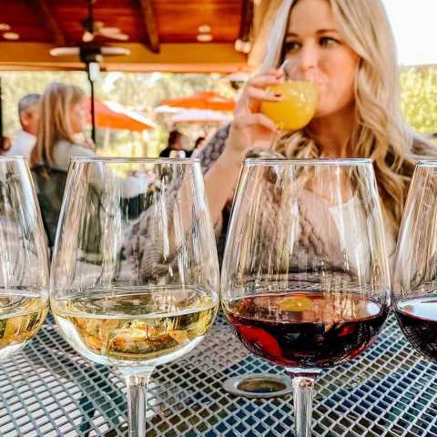 Danza Del Sol Winery