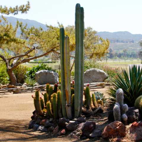 Landscape - Green Acres Ranch Inc.
